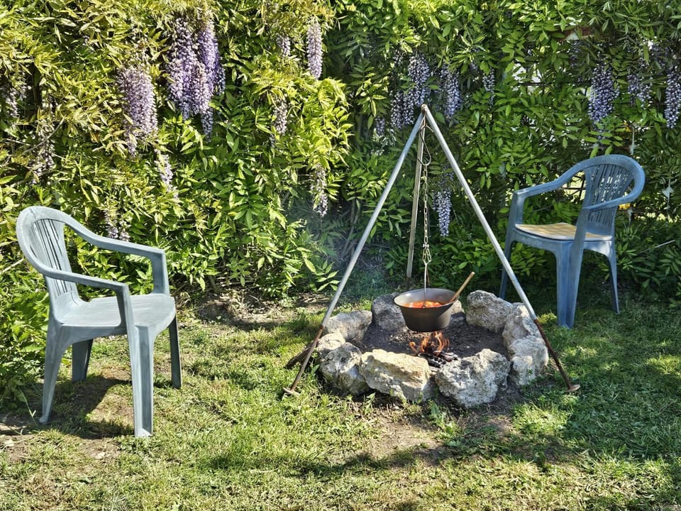 Spring, Garden