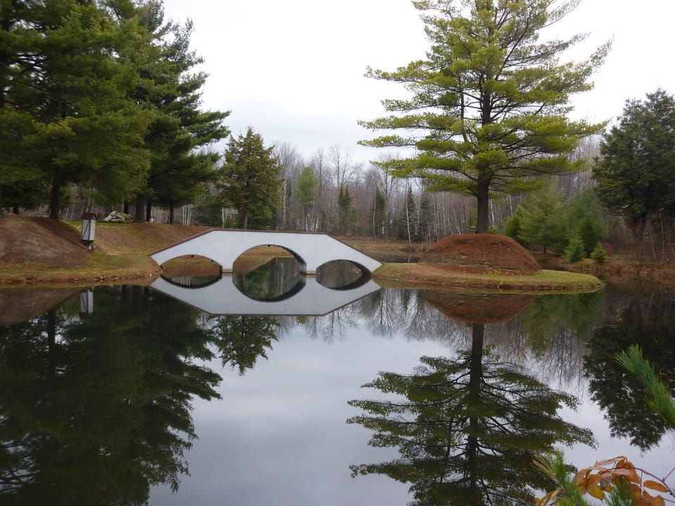 Lake view