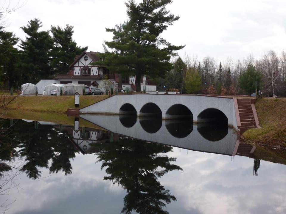 Lake view