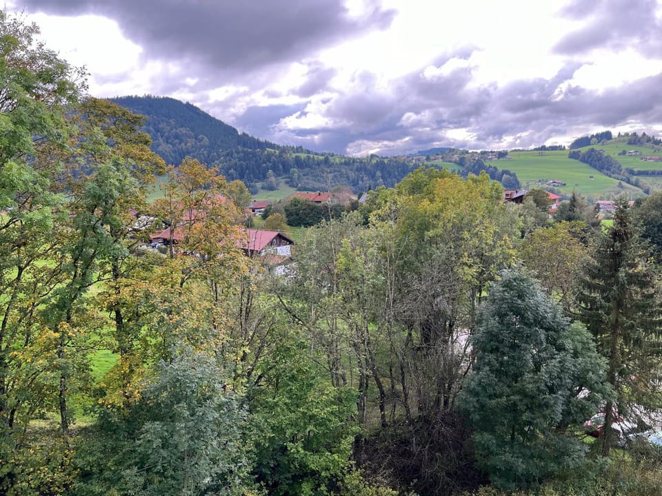 View (from property/room)