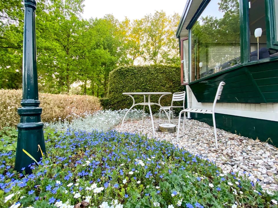 Patio, Spring, Day, Garden, Garden view
