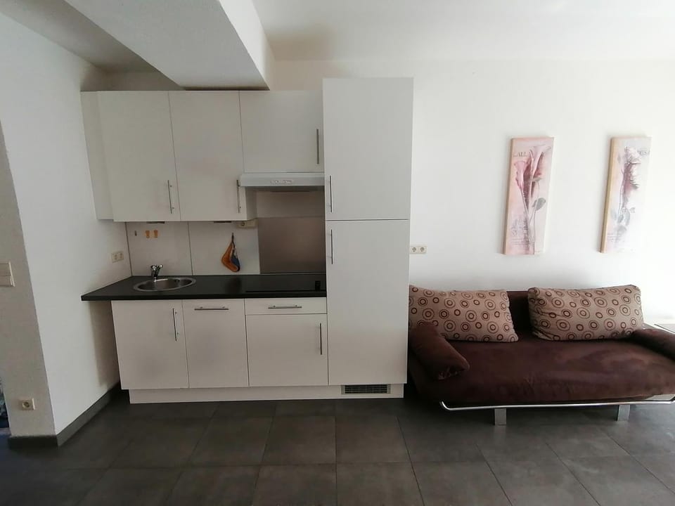 Kitchen or kitchenette, Living room, stove