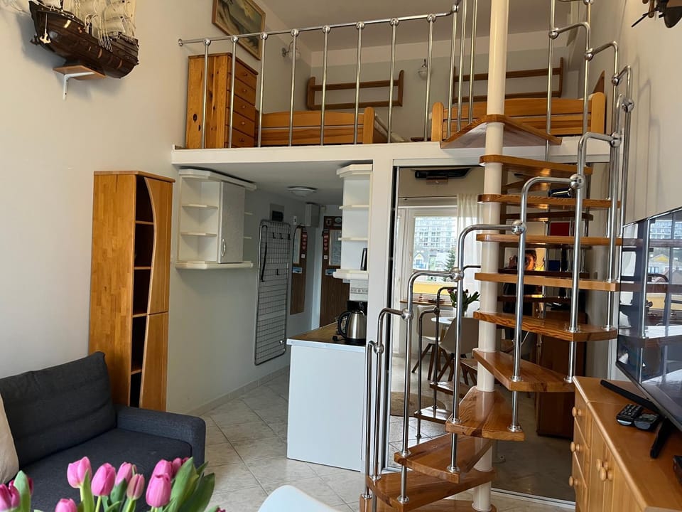 oven, pet friendly, wardrobe