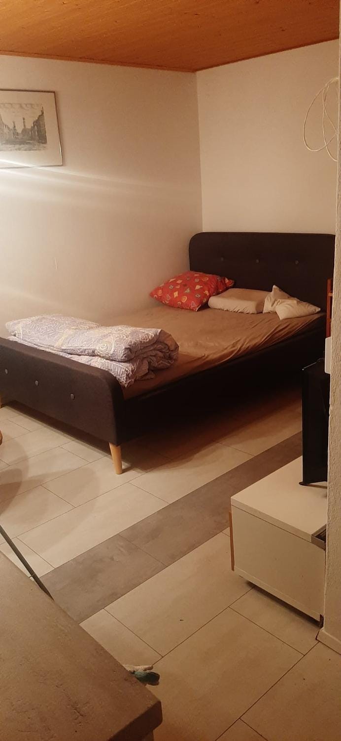 Fehér-kék hibiszkusz Apartment in Hungary