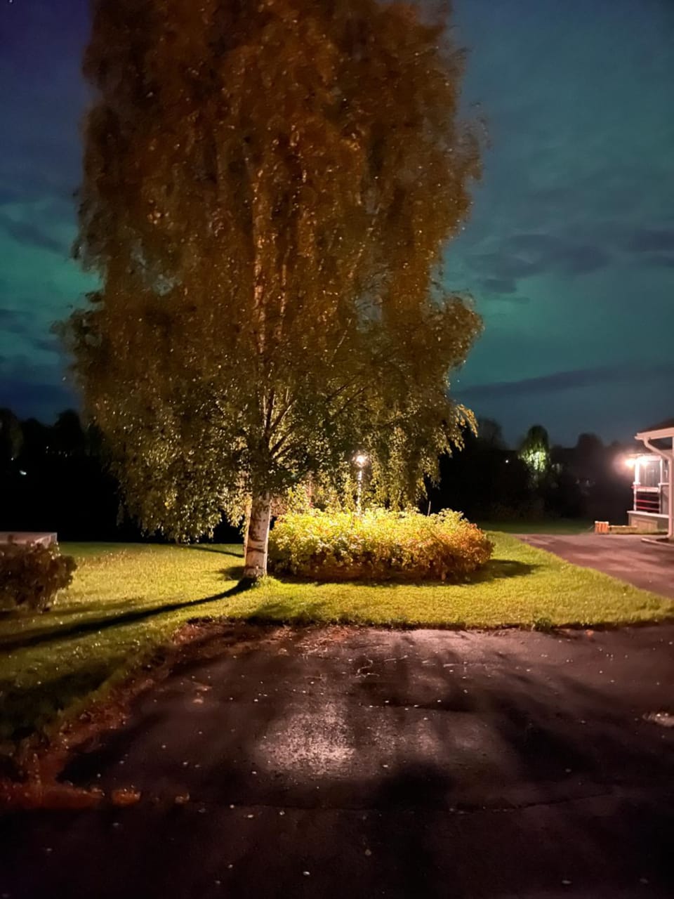 Night, Natural landscape, Garden view