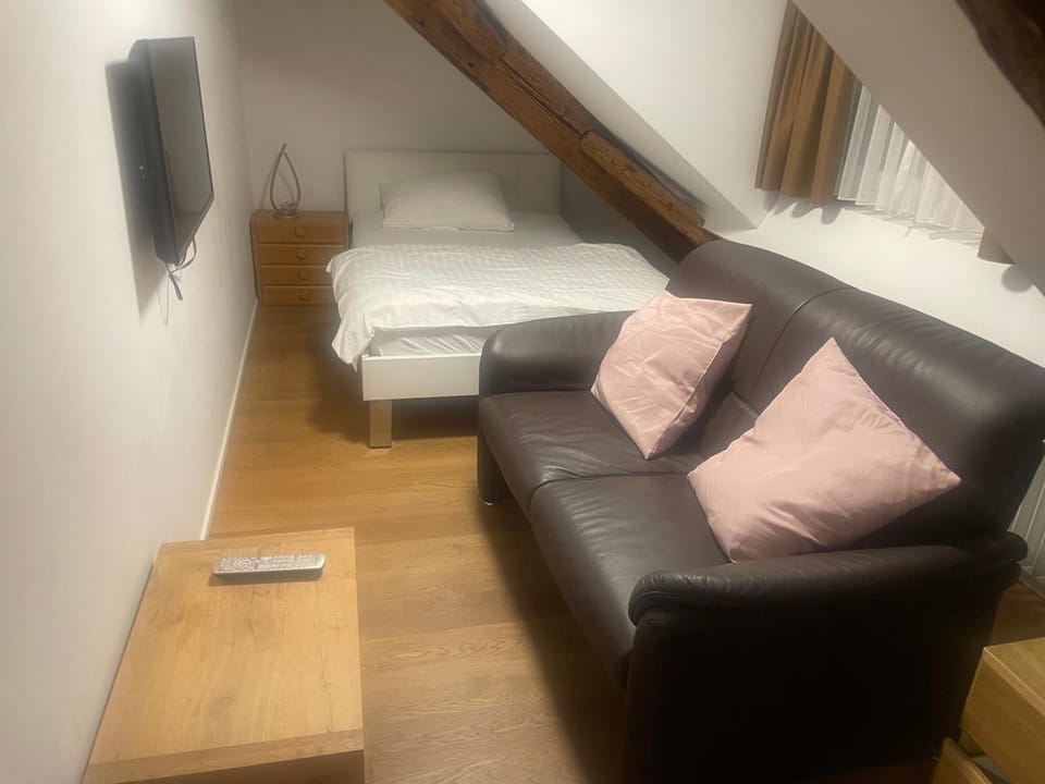 Splendid Apartments Zürich City Apartment hotel in Zurich City