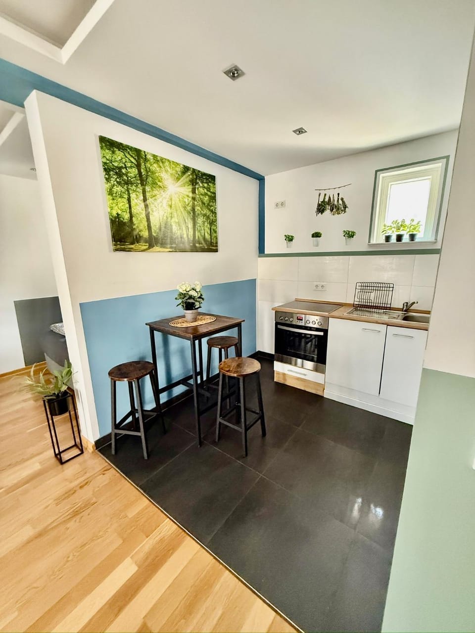 Kitchen or kitchenette, Dining area, oven, stove