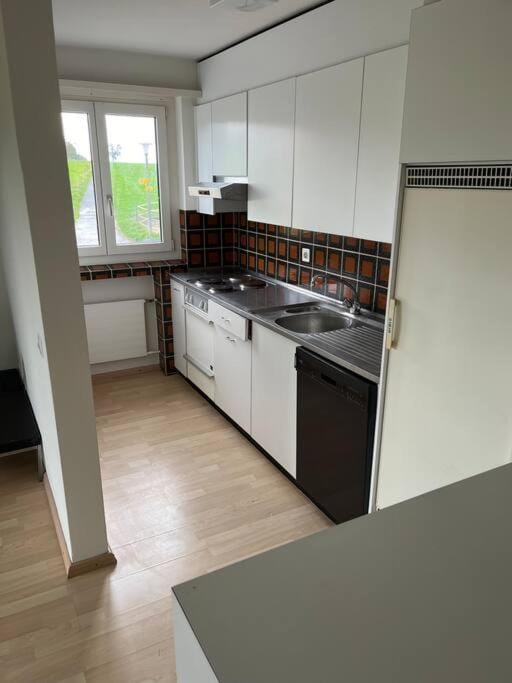 Wohnung Felix Apartment in Canton of Zurich