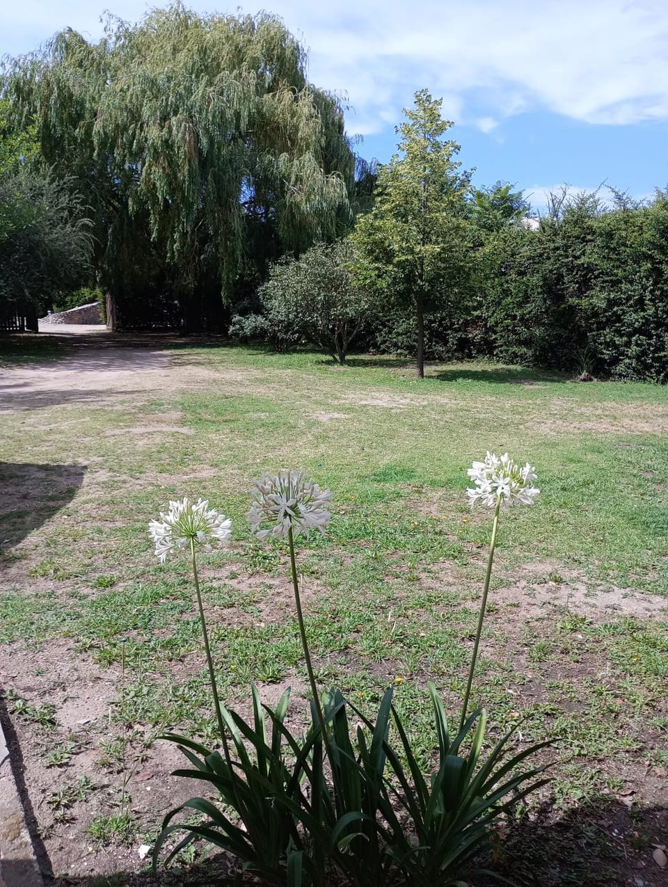 Garden view