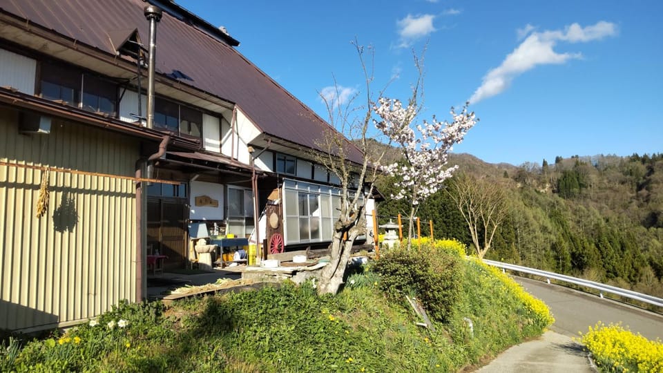 Property building, Garden view
