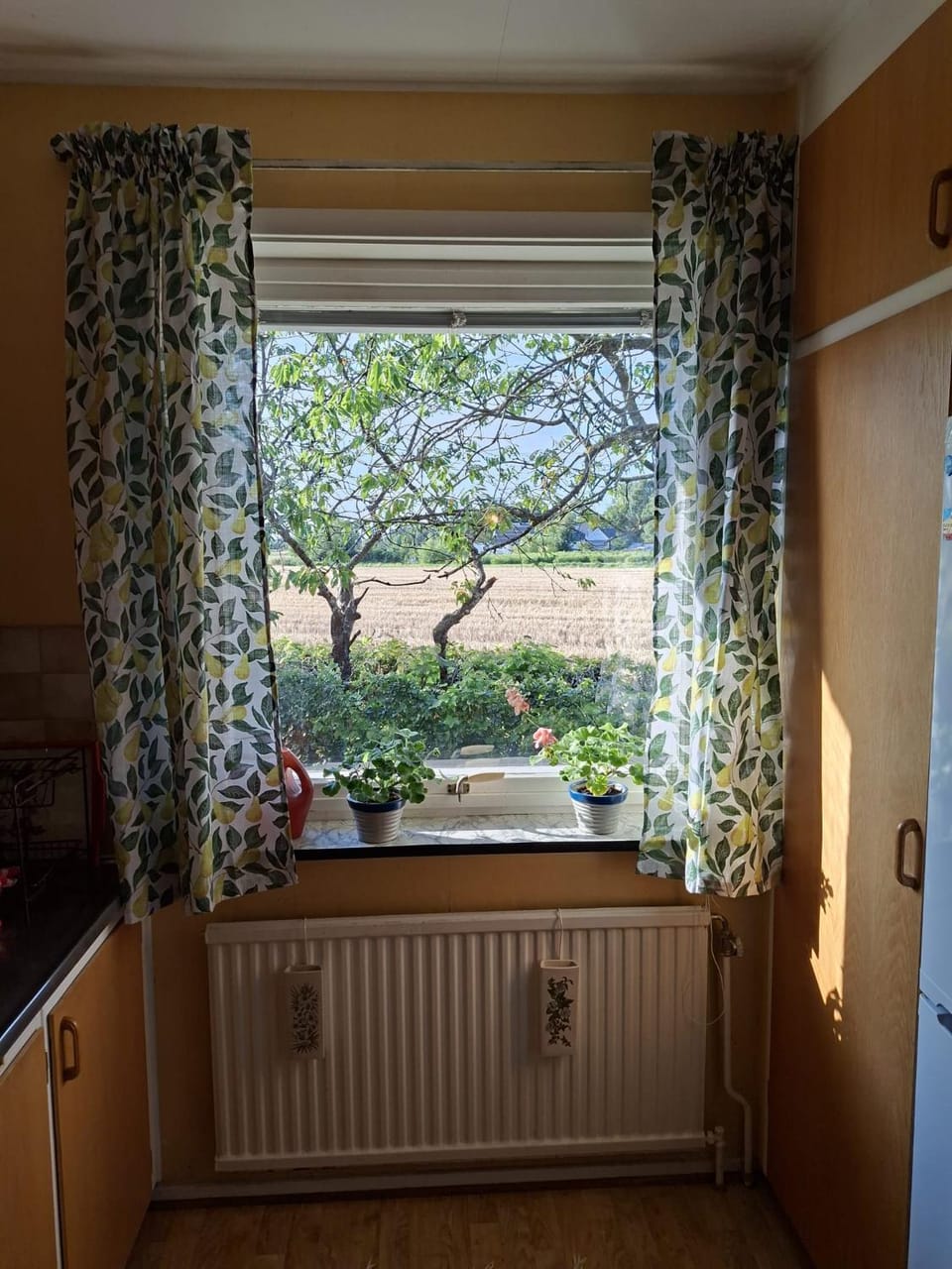 Garden, View (from property/room), Kitchen or kitchenette, Garden view