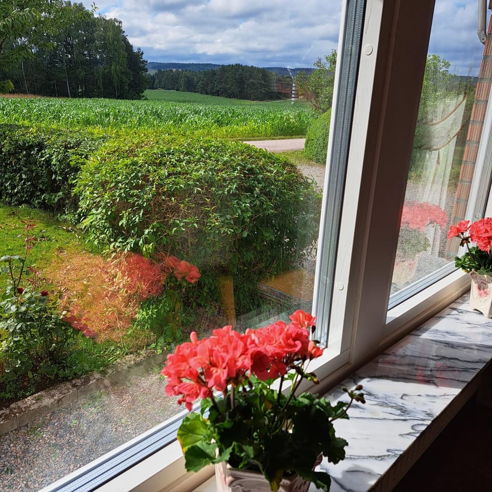 Day, Natural landscape, Garden, Garden view