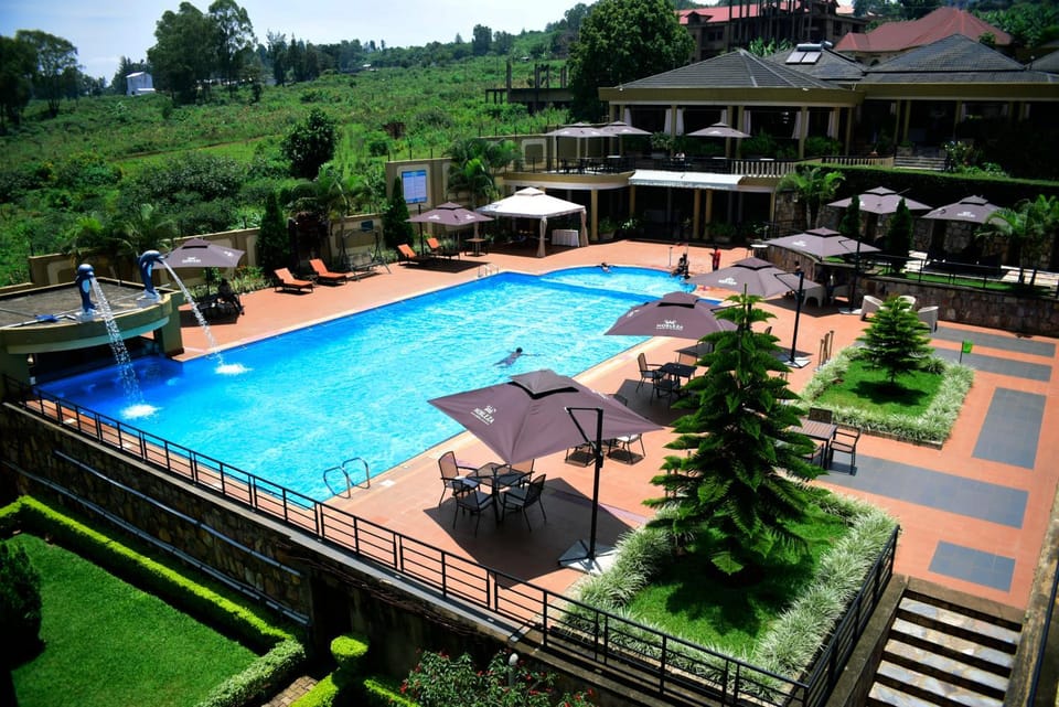 Pool view, Swimming pool
