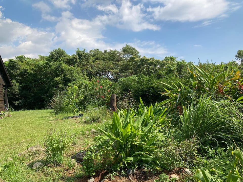 Natural landscape, Garden