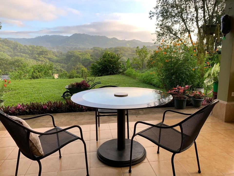 Garden, Mountain view