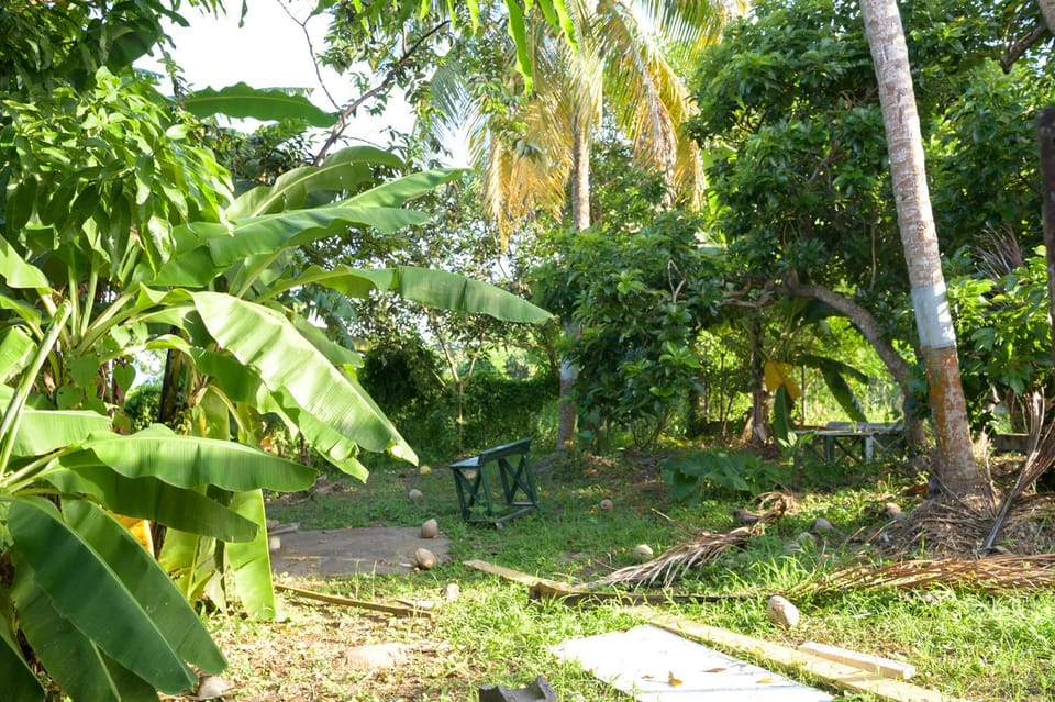 Garden, Garden view