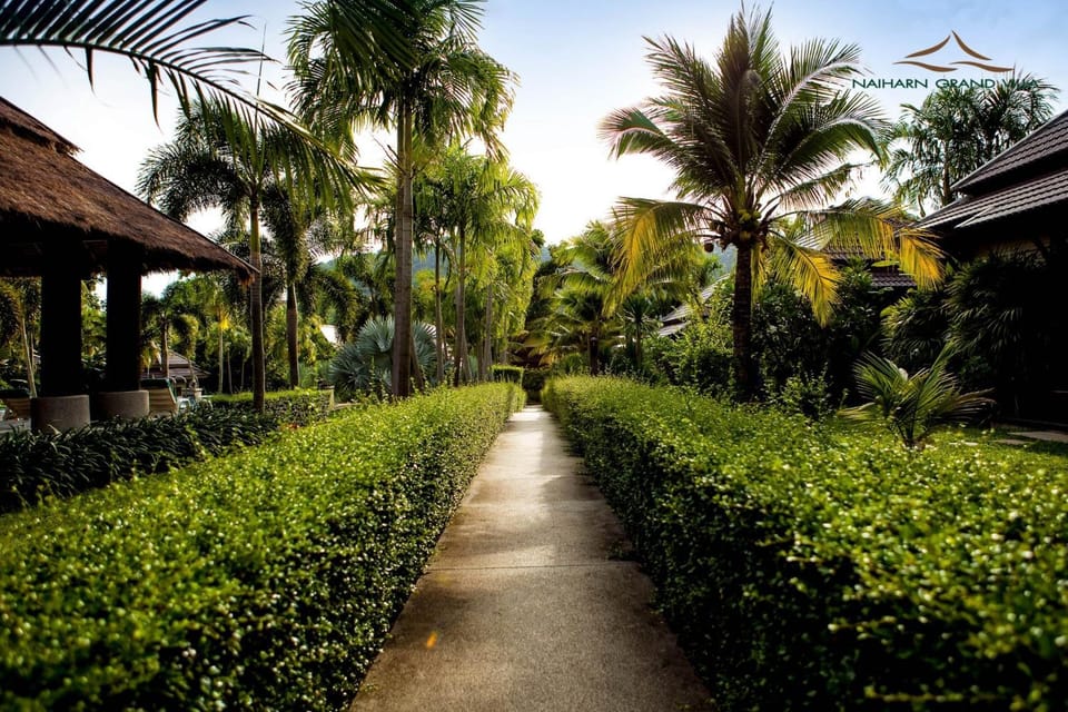 Spring, Day, Natural landscape, Garden, Garden view