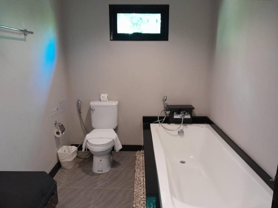 Toilet, Hot Tub, Bathroom, Bath