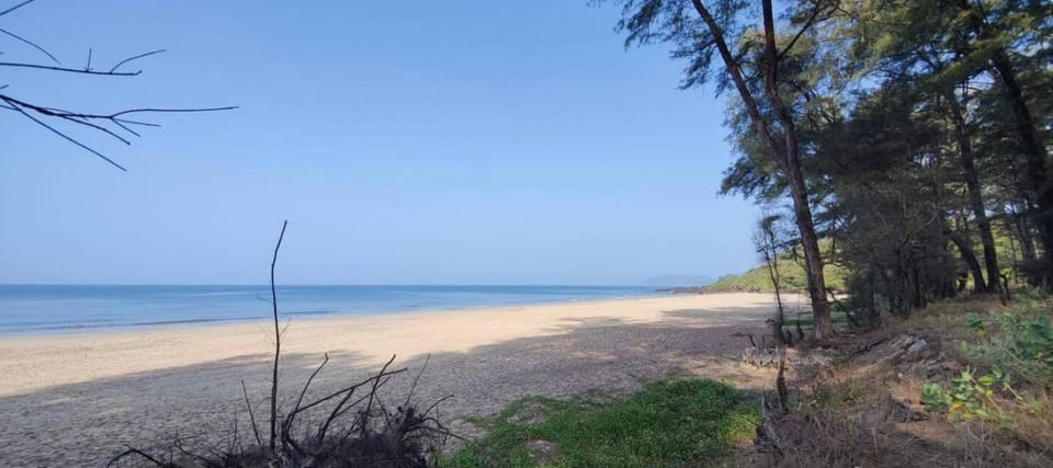 Wilder Homes Villa in Goa, India