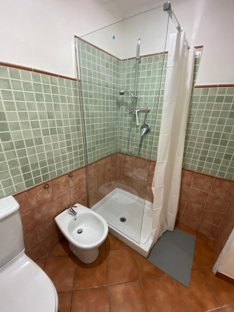 Shower, Toilet, Bathroom, bidet