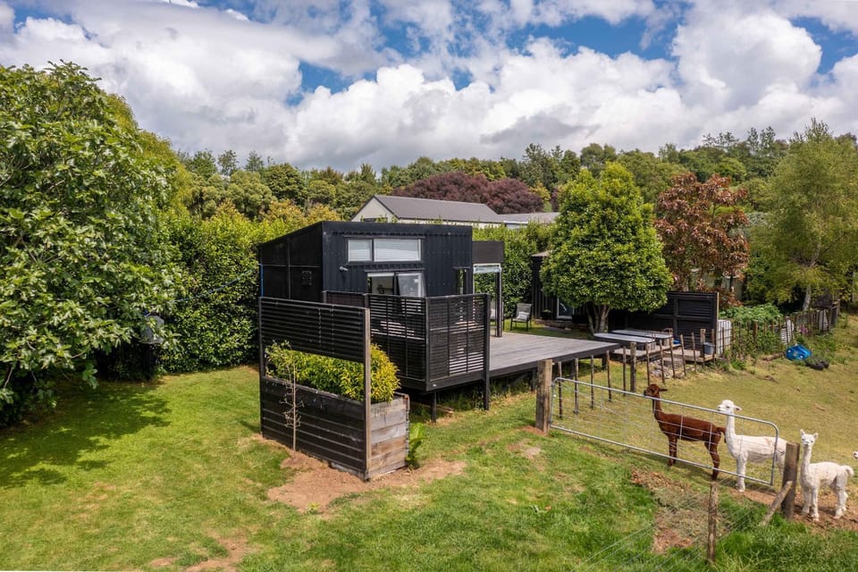 Fig Cottage House in New Plymouth