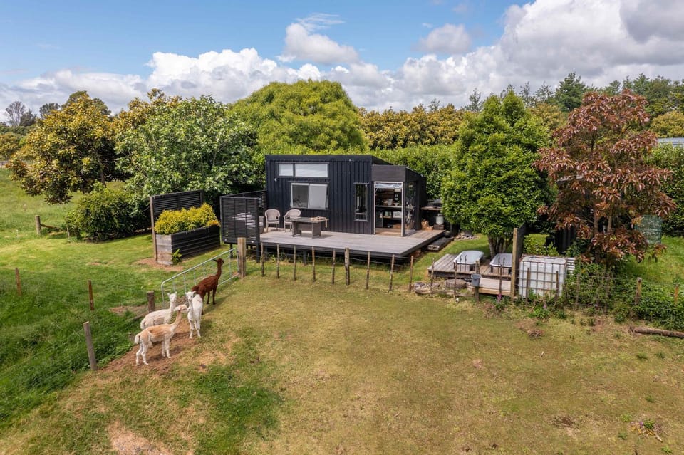 Fig Cottage House in New Plymouth