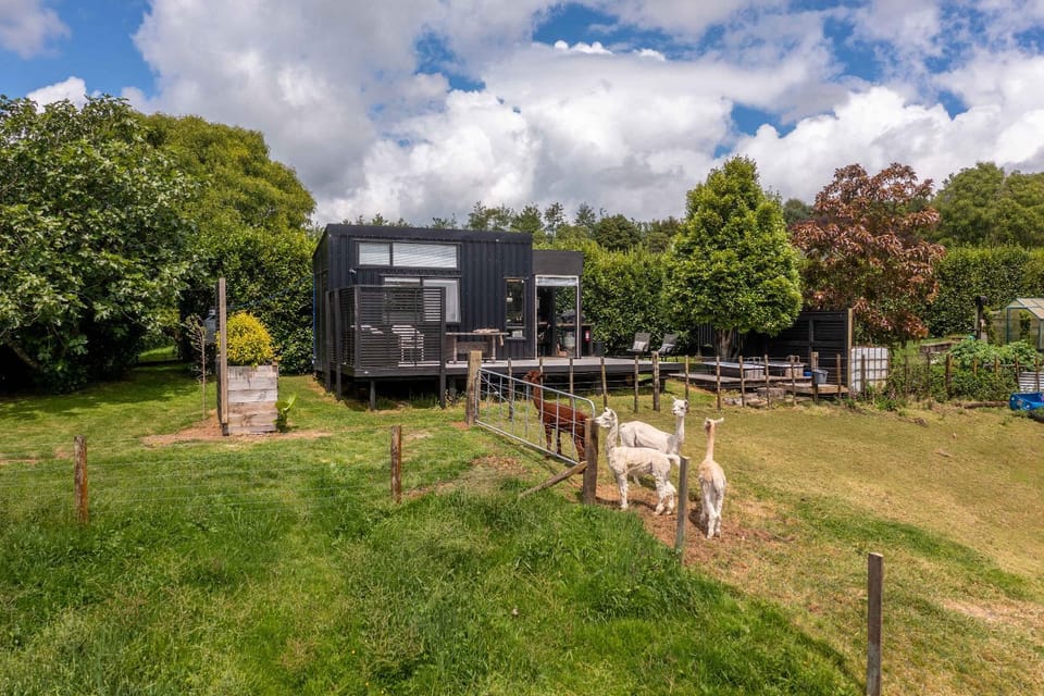 Fig Cottage House in New Plymouth