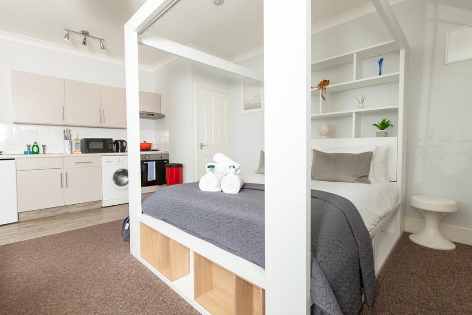 Bed, Coffee/tea facilities, Kitchen or kitchenette, Photo of the whole room, Bedroom, oven, stove, toaster, washing machine