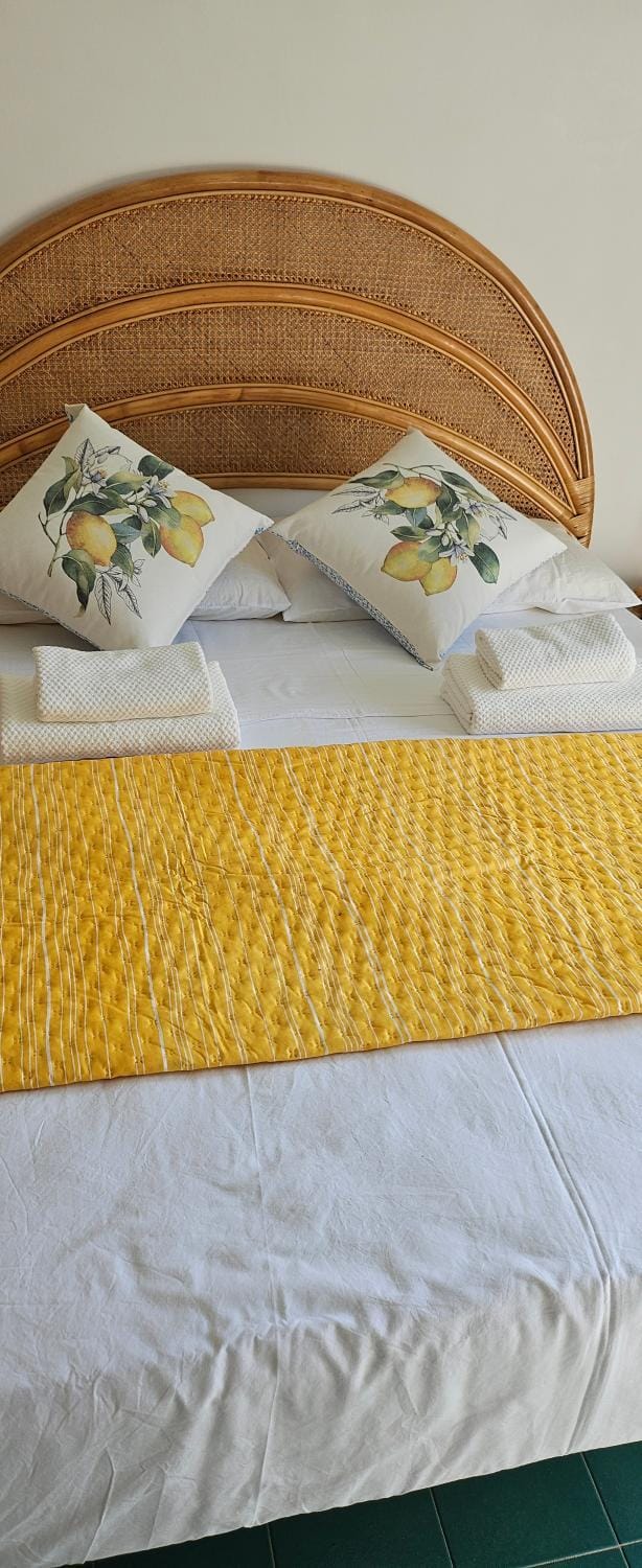 Limonero suite Apartment in Vico Equense