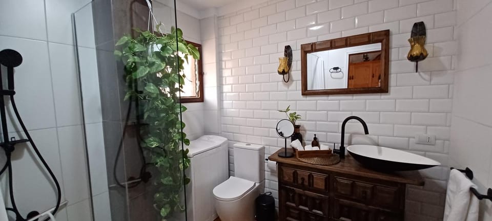 Shower, Bathroom, washing machine