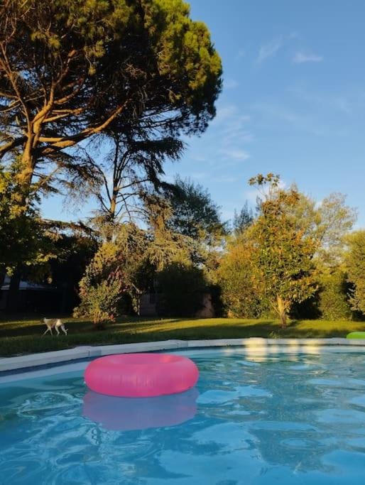 Appartamento in Casa Pilar con piscina Apartment in Capannori