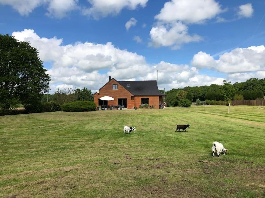 Natural landscape, Pets