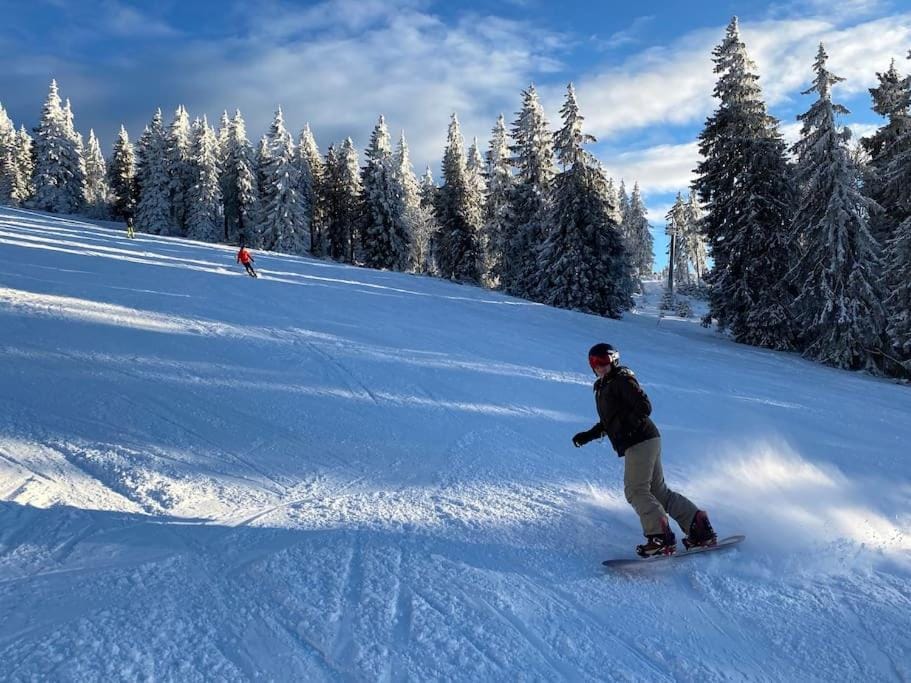 Skiing