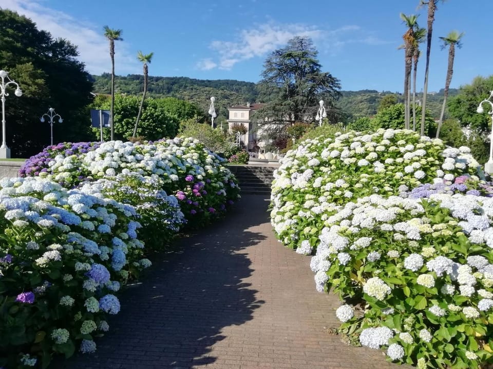 Virgilio House Apartment in Stresa