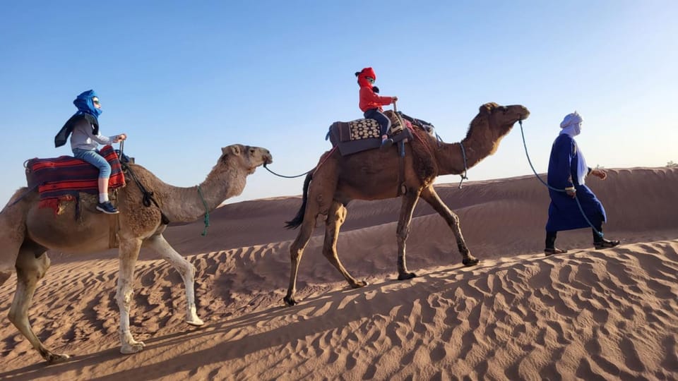 Day, People, Natural landscape, Activities, Horse-riding, Hiking, Hiking, Animals, children, group of guests