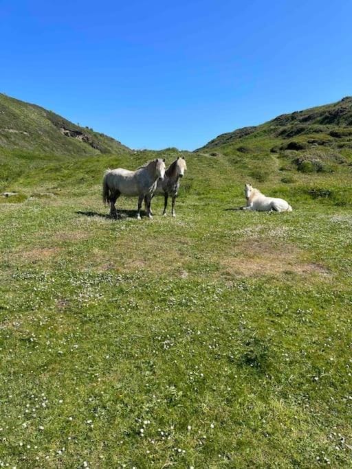 Coastal Caravan in Solva Campground/ 
RV Resort in Saint Davids