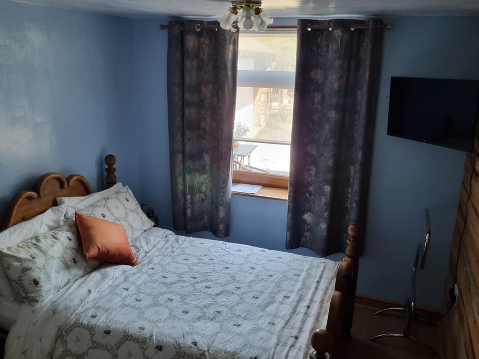 Brynhyfryd Vacation rental in Wales