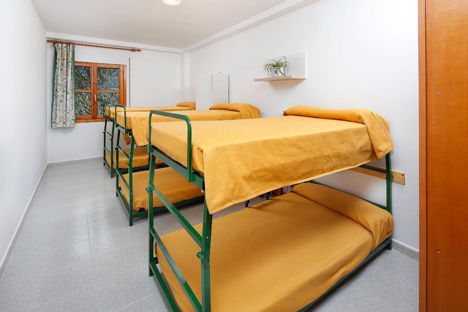 Bed, Photo of the whole room, Bedroom, bunk bed