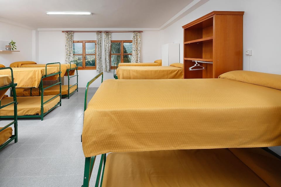 Bed, Photo of the whole room, Bedroom, bunk bed