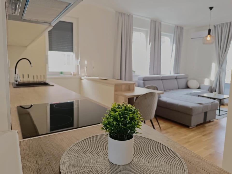 Kitchen or kitchenette, Living room, Photo of the whole room, Seating area, Dining area