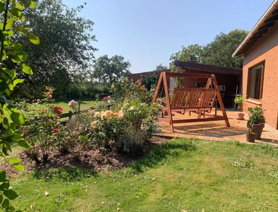 Spring, Garden, Garden view
