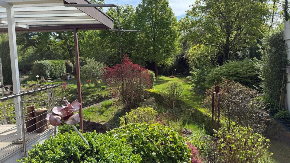 Garden, Garden view