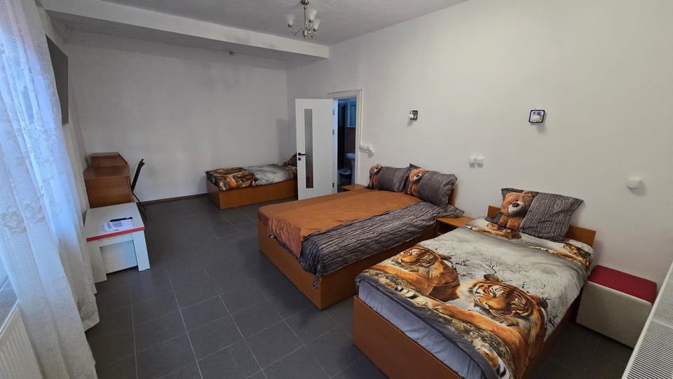 Quasar Camere de închiriat Bed and Breakfast in Romania
