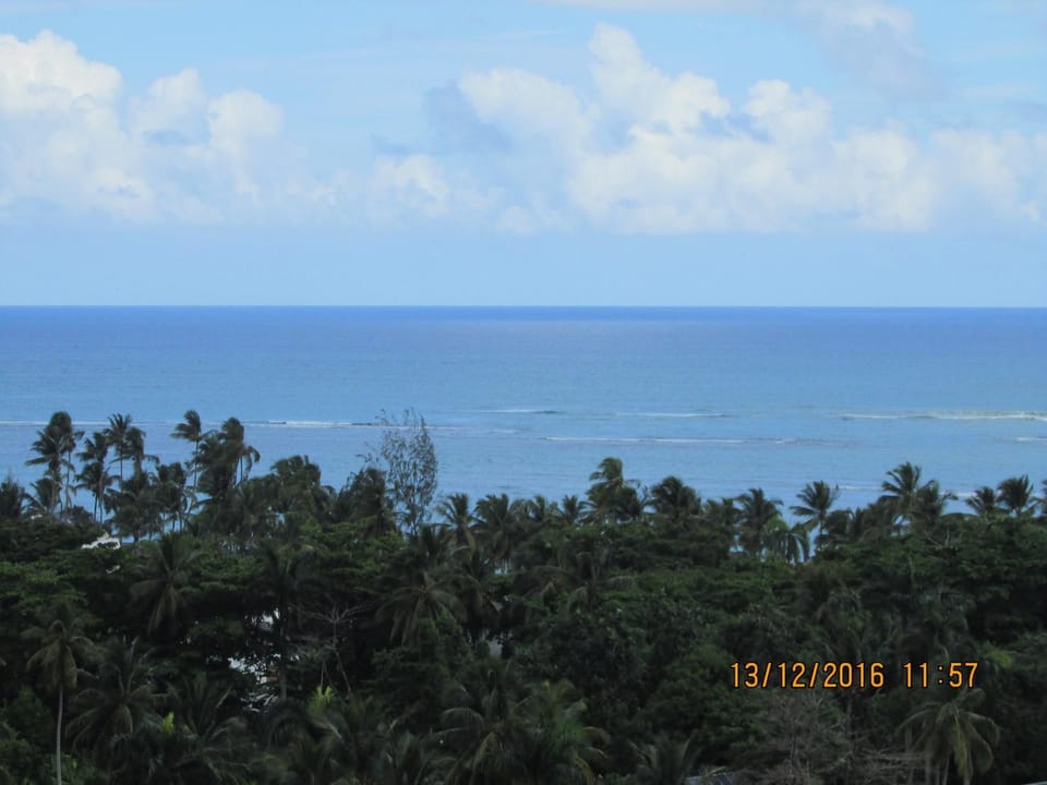 Castillo Romano Bed and Breakfast in Las Terrenas