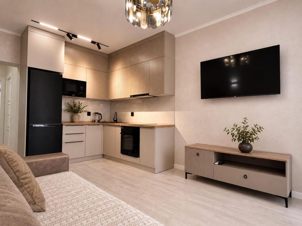 TV and multimedia, Kitchen or kitchenette, Living room, Photo of the whole room, Seating area, stove