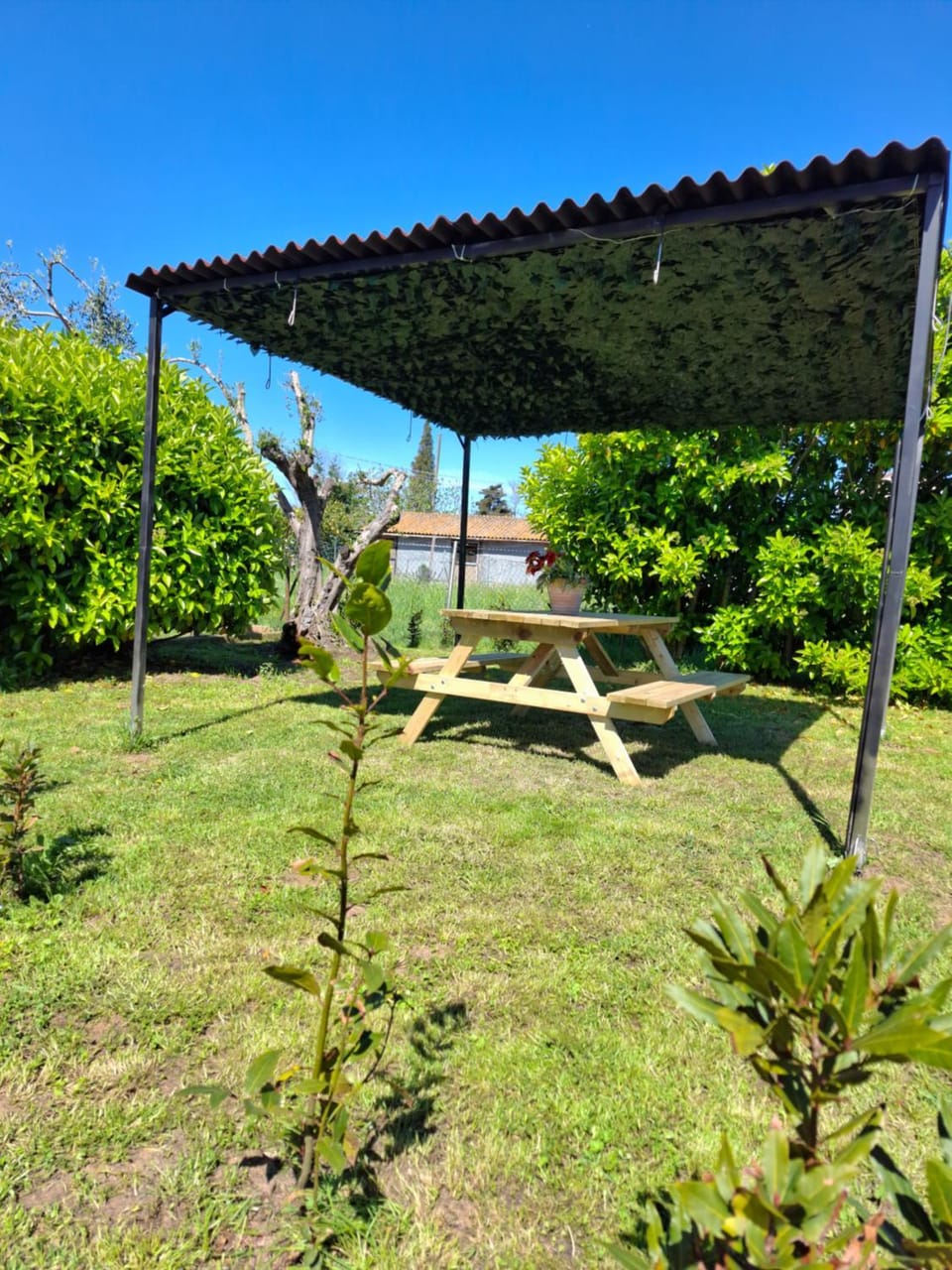 Appartamento Rosa Bianca A Vada Apartment in Tuscany