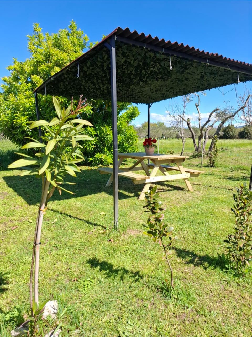 Appartamento Rosa Bianca A Vada Apartment in Tuscany