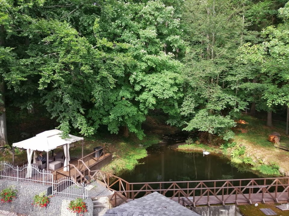 Lake view