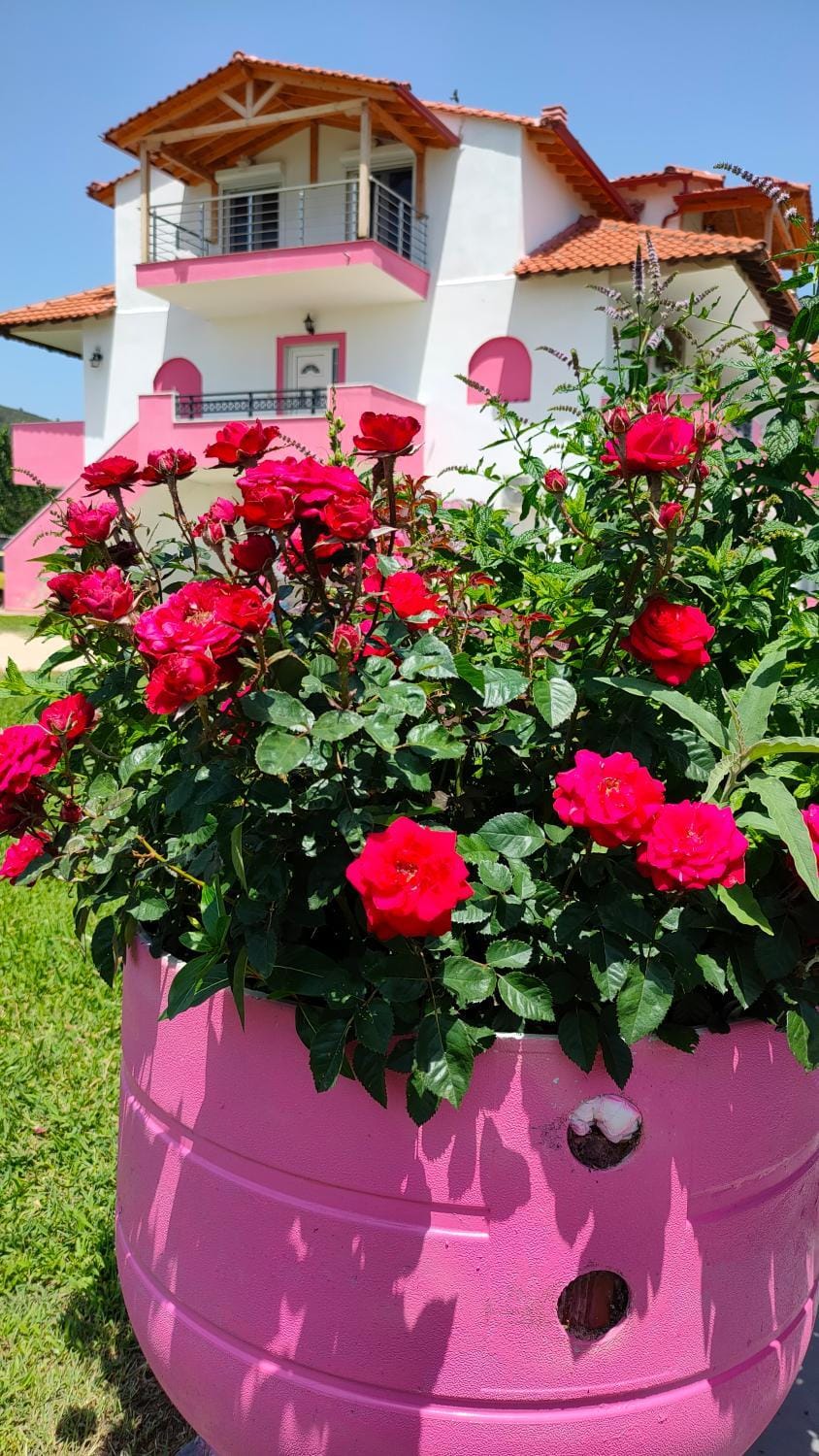 Vigla House Apartment in Halkidiki