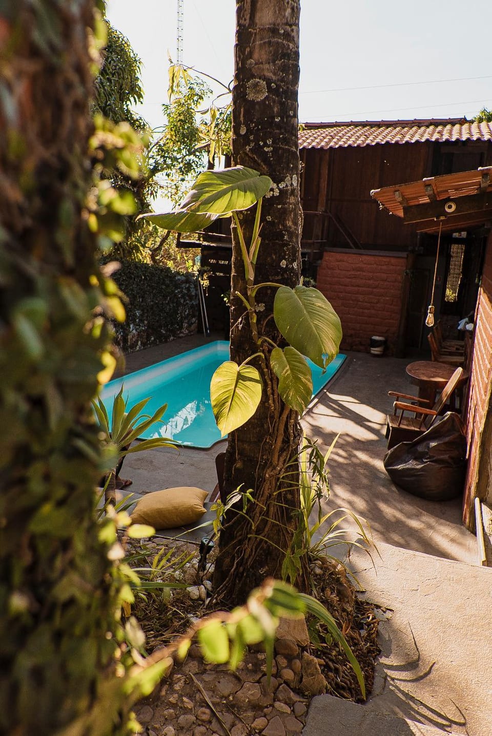 Garden, Garden view, Pool view, Swimming pool, sunbed